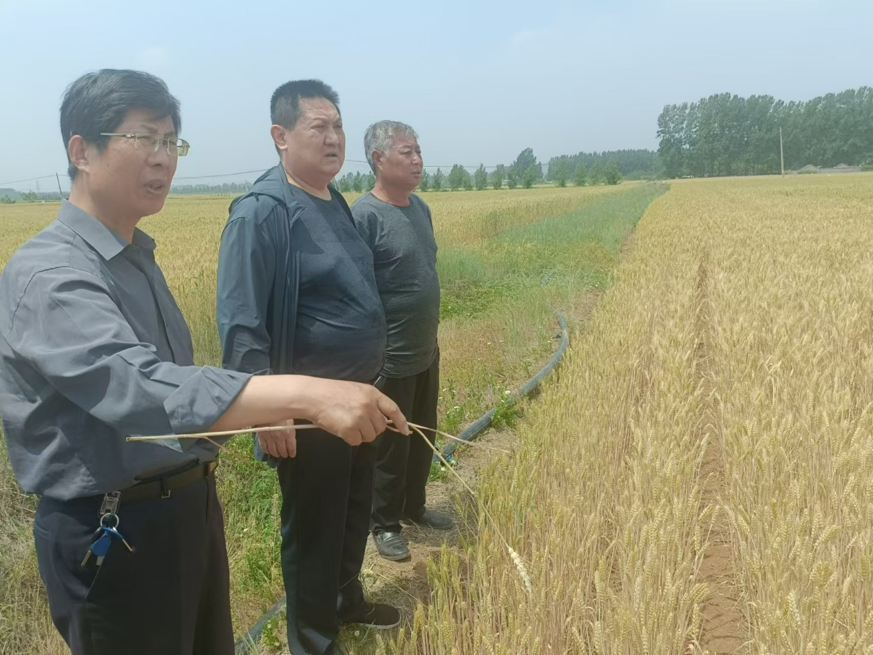 防赔并举农民无虞中国人寿财险完全成本保险提高粮食安全保障水平