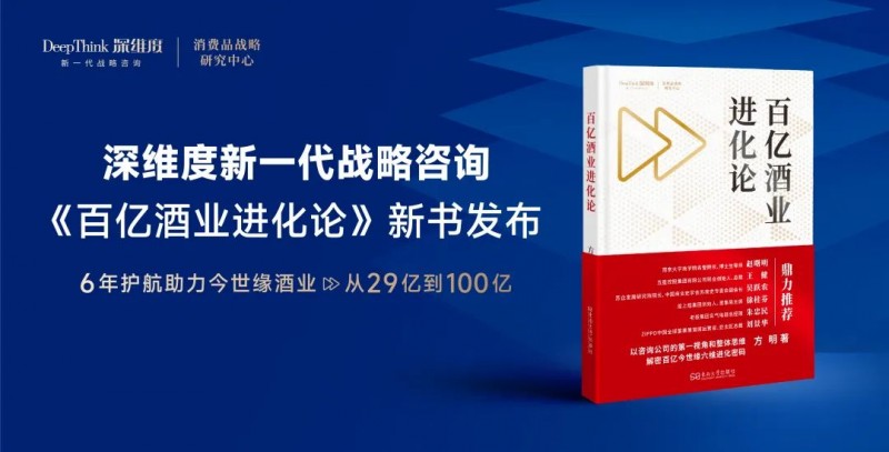 深维度战略咨询:从29亿到100亿,企业做对了什么?